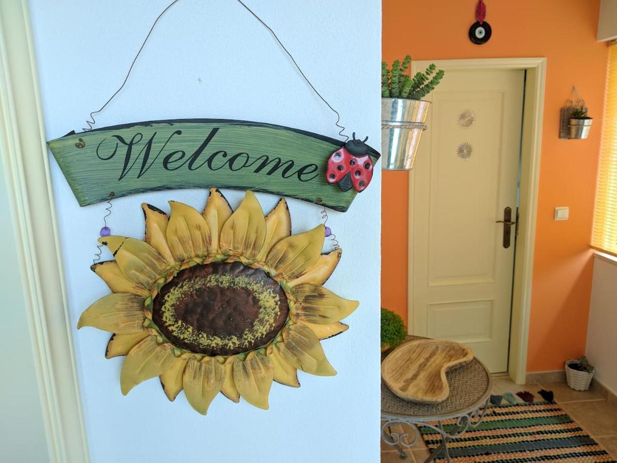 Casa Aurora Villa Penacova Eksteriør bilde